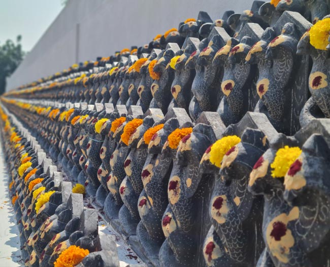 Sarpa Subrahmanyam Pooja