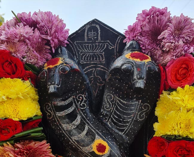 Ashlesha Bali Pooja