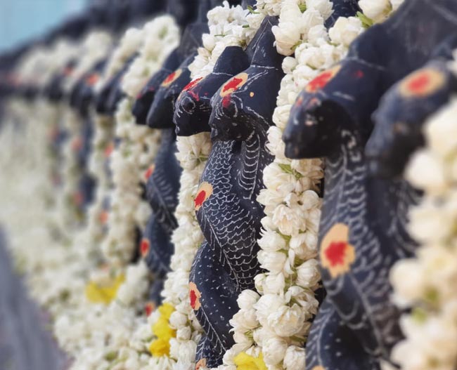 Vedic Chanting Ceremony